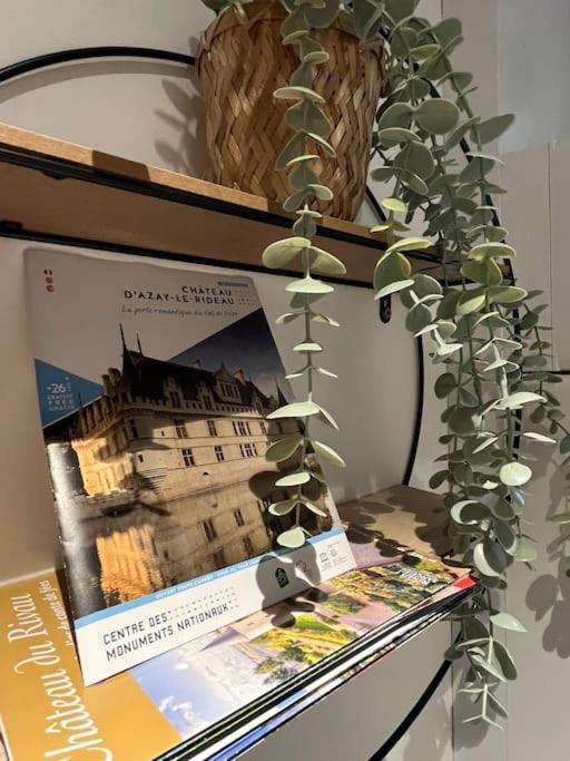 Au Pied Du Chateau Azay-le-Rideau Eksteriør bilde